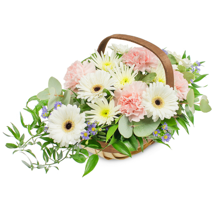 A beautifully balanced basket arrangement that blends classic simplicity with handcrafted warmth, set against a pristine white background so every detail reads clearly. The composition is dominated by several large white Gerbera daisies, their paper-thin petals arranged in radial symmetry around deep brown-black centres that give the bouquet a striking focal contrast. Interwoven among them are numerous soft pink carnations, their tightly ruffled petals forming plush clusters that add romantic texture and a gentle blush across the display. Supporting blooms include small, fluffy white and pale yellow chrysanthemum-like flowers which fill gaps and create a lush, even surface of pale tones. Accents of tiny, star-shaped pale blue and lavender flowers are tucked discreetly into the foliage, introducing a cool note that lifts the warmer pastels. The greenery is abundant and thoughtfully varied: silvery, rounded eucalyptus leaves provide a modern, slightly aromatic counterpoint with a soft matte finish, while darker, glossy ruscus branches trail and spill from the left side to give a graceful, natural movement. All of these elements sit amid a light-toned woven wicker basket with a sturdy arched brown handle, lending a handcrafted, homely charm and the sensation that it has been assembled by hand in a local workshop. The bright, even lighting accentuates petal texture and the fresh sheen of leaves. As a seasoned florist serving Lower Clapton and the wider Hackney area, I see this as an elegant choice for Mother's Day, birthdays, get-well wishes, or expressions of gratitude-a versatile, reassuring gift that feels both personal and composed.