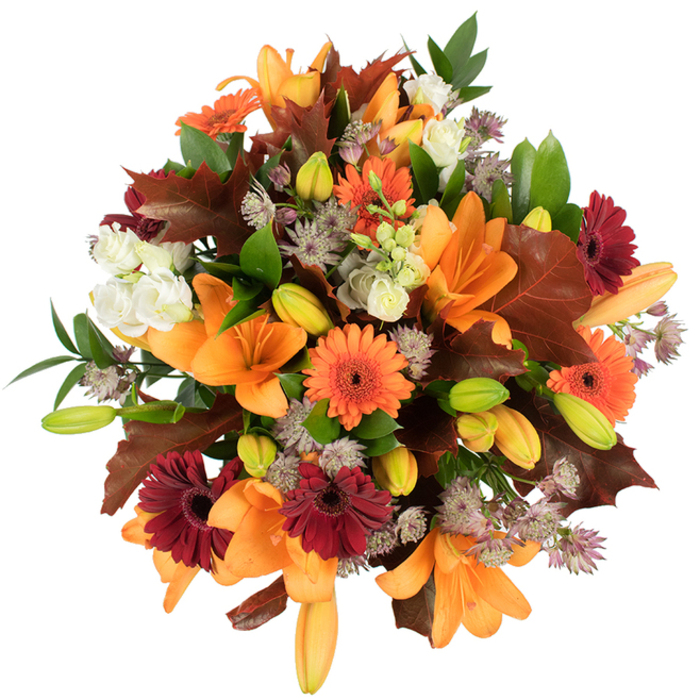 A lush, elevated view of an autumn bouquet that could have been gathered from the stalls of Chatsworth Road and arranged with care in Lower Clapton. The scene is rich with fully open orange Asiatic lilies, their smooth, trumpet-shaped petals catching light like tiny suns, surrounded by a ring of tight buds in pale orange and fresh green that promise the arrangement will evolve over days. Scattered among them, vivid orange and deep burgundy Gerbera daisies create cheerful contrasts, each bloom's layered rays forming sunlike discs against the darker centres. Creamy white lisianthus offers soothing, ruffled pockets of softness that temper the bolder tones, while clusters of astrantia in muted purple and lavender lend a delicate, airy texture as if spun from cobwebbed morning mist. Generous, lobed leaves in reddish-brown and deep maroon evoke fallen oak and maple, grounding the bouquet in an unmistakable autumn mood; interspersed green foliage and slim stems bring freshness and movement. The composition is tightly packed and meticulously balanced, photographed on a pristine white background so colours read bright and true - orange, burgundy, brown, green, and soft cream in harmonious union. The bouquet feels both celebratory and homey: ideal as a Thanksgiving centrepiece, a harvest-season gift, or a warm birthday surprise for neighbours around Clapton Common. Prepared by a local hand - Flower Delivery Lower Clapton - it conveys the tactile pleasure of brushing petals and the quiet rustle of leaves, a seasonal arrangement designed to fill a room with warmth and harvest-colour.